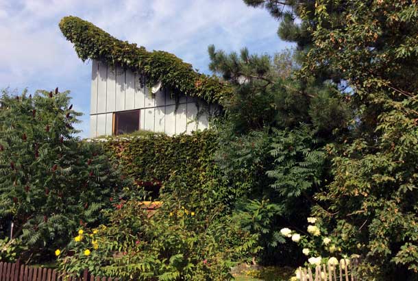 <strong>Holzrahmenhaus<span><b>view larger</b></span></strong><i>→</i>